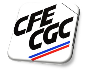 CFE CGC 95
