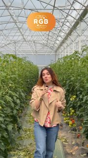 🍓🌿 Nous sommes partis découvrir la Cueillette de Cergy, un lieu incontournable où petits et grands viennent récolter fruits, légumes et fleurs directement dans les champs.
Entre nature, produits de saison et rencontre avec les équipes passionnées qui font vivre le site au quotidien, immersion dans un espace unique aux portes de la ville.
🎥 Découvrez notre reportage et les coulisses de cette belle aventure locale.
📍Et vous, quel est votre fruit ou légume préféré à cueillir ?
Réalisé par @nassim_allstar
#CueilletteDeCergy #Cergy #ValDOise #Reportage #ProduitsLocaux